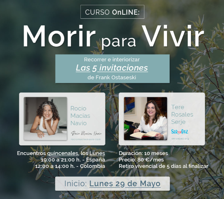 imagen curso online